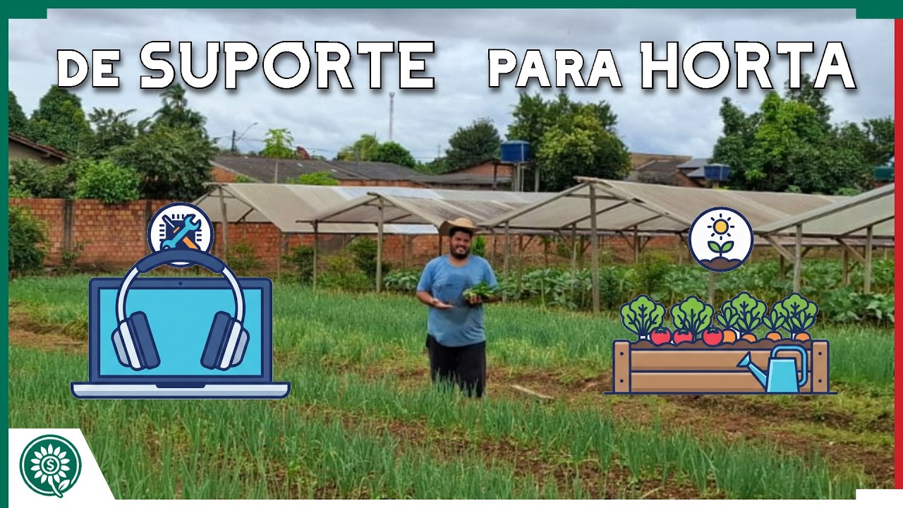 Eu atendia cliente e ENCONTREI PAZ NA HORTA!
