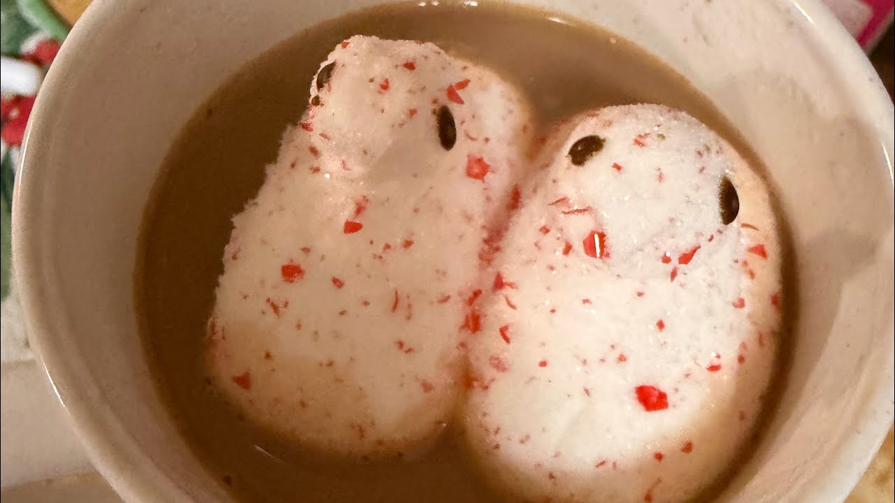 Влогмас (День 5) Покупки в Five Below🎄, Dollar Tree и Dollar General 🎄💚🎄