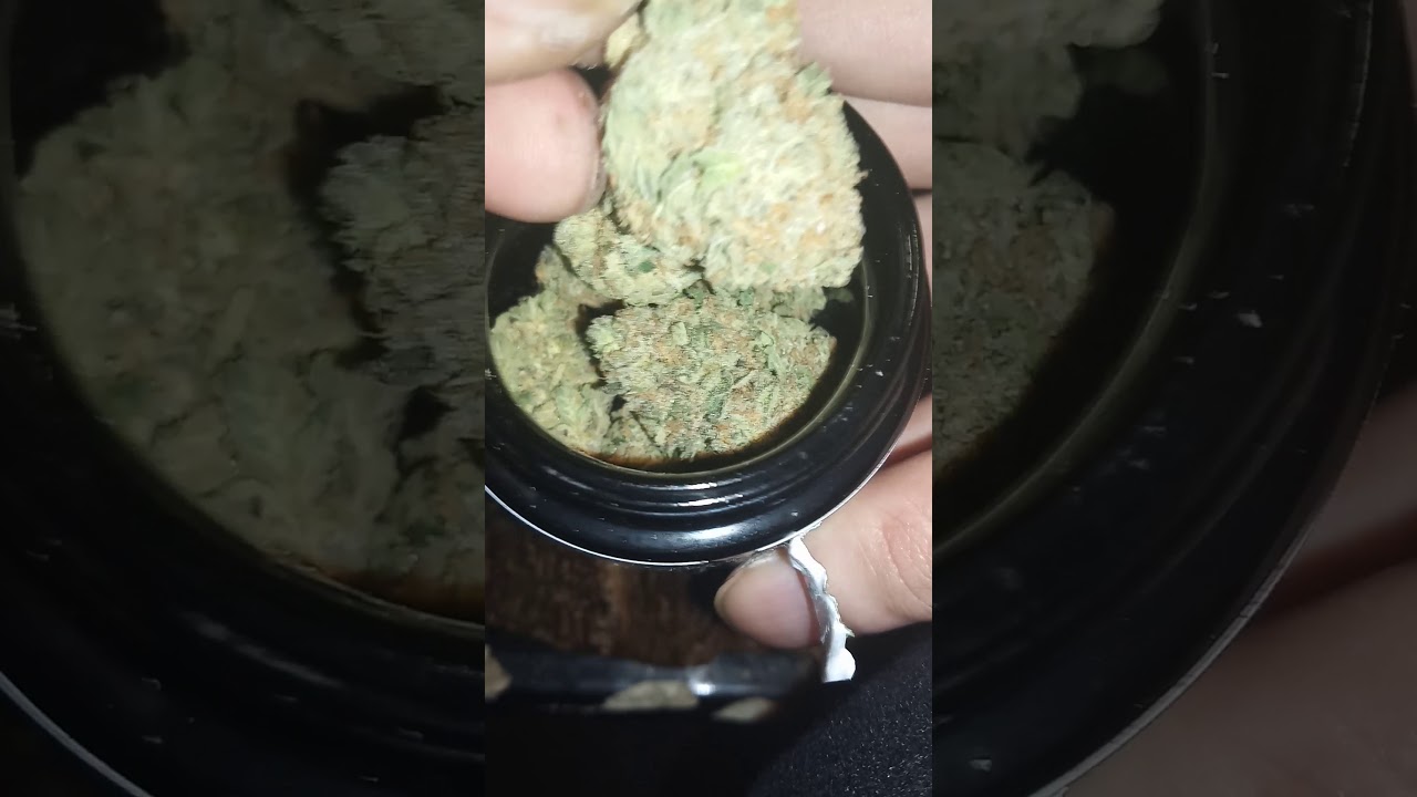 Area 41 Alien labs 👽🔥💨
