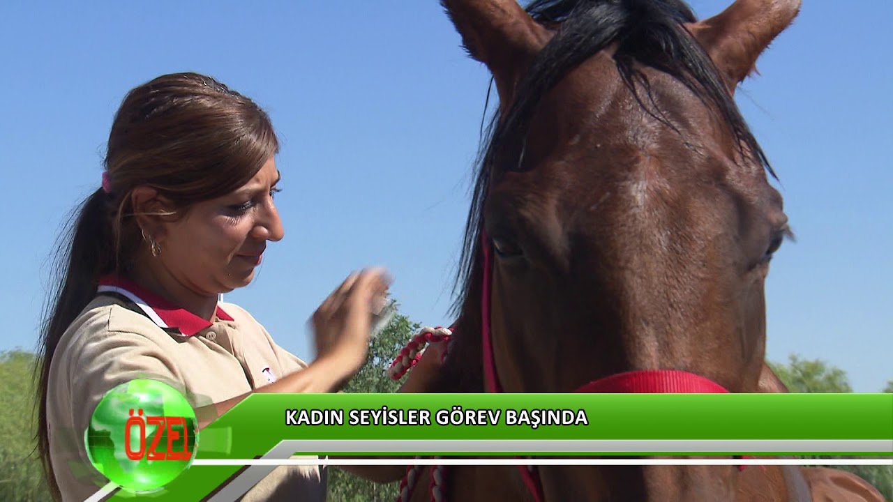 Kadın seyisler görev başında