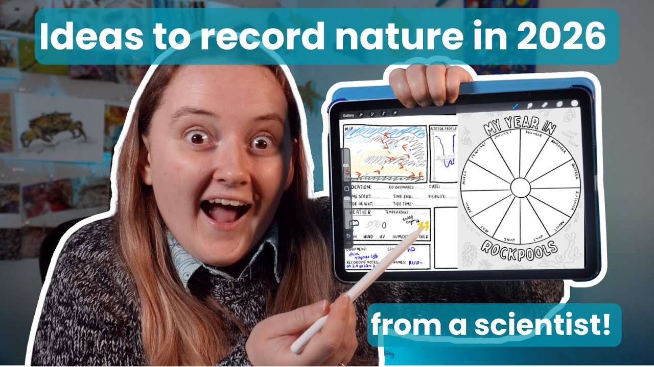 Track all the Nature you see in 2026! (nature journaling page ideas)
