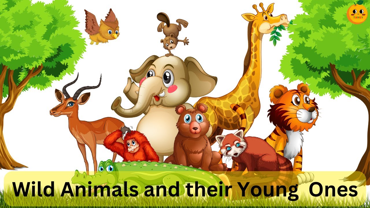 Wild Animals and their Young  Ones | Animals babies | Animals and their babies | Baby animals | IEO