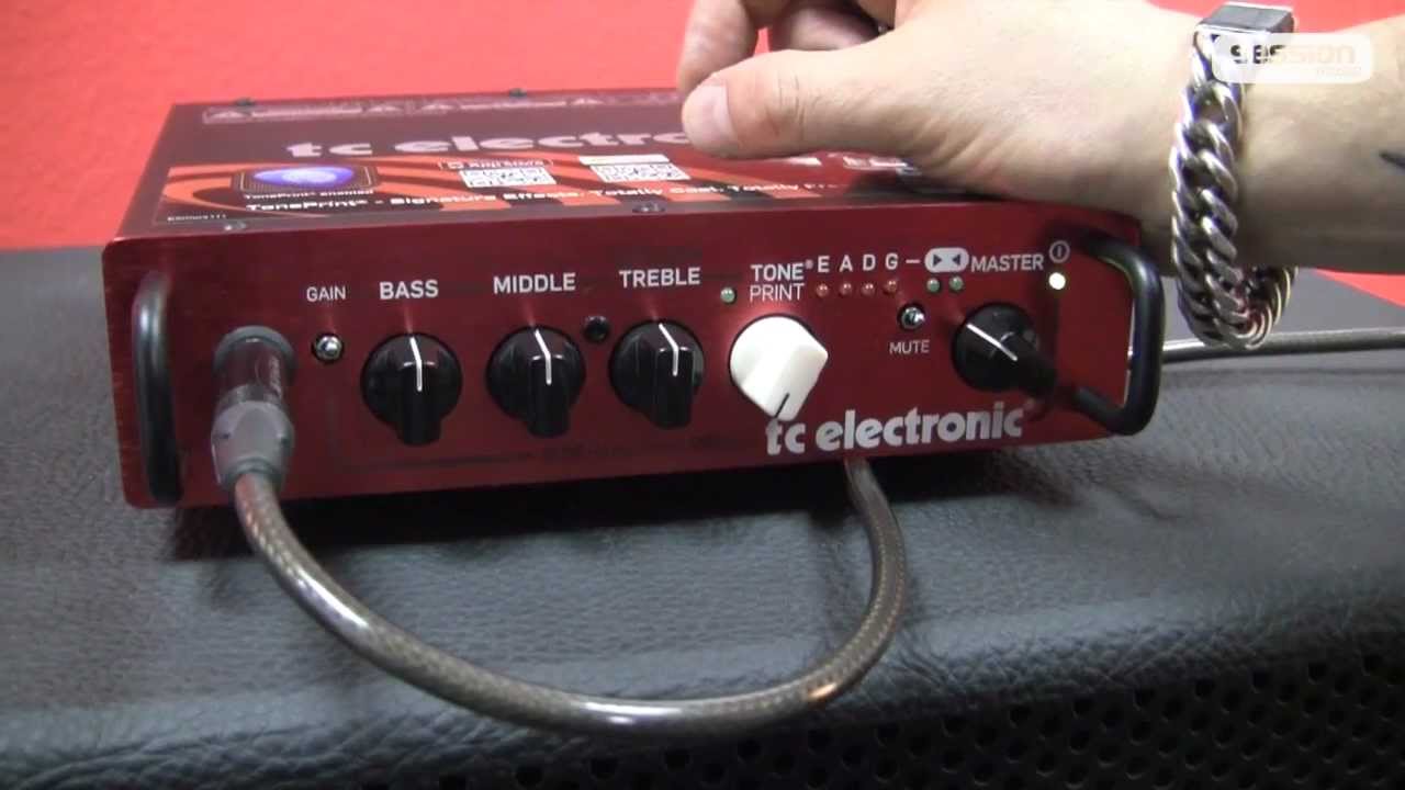 TC ELECTRONIC BH250 Head