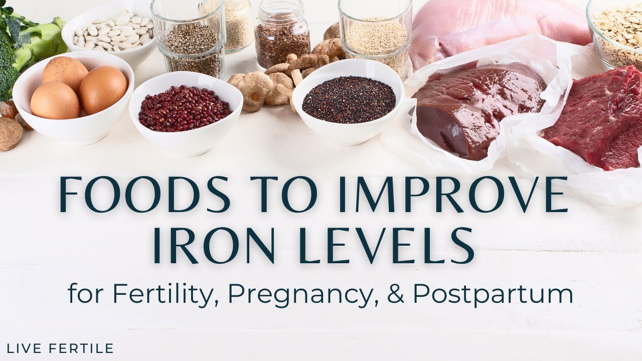 Iron and Women's Health | Tips to Increase Iron Levels for Fertility, Pregnancy, and Postpartum