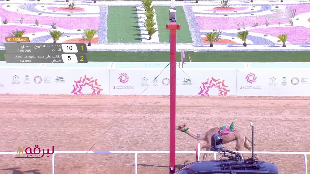 موقع لبرقه | بث مباشر.. لسباق الحقايق (أشواط مفتوحة وعامة) مهرجان ولي العهد بميدان الطائف 3-9-2021 ص