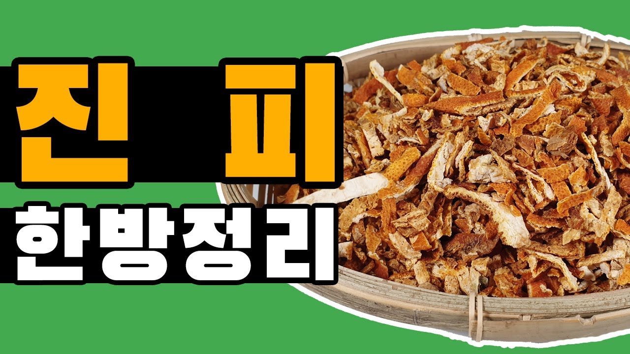 집에서도 정말 쉽게 만들고 효과 확실한 진피!! / 가격,효능,먹는법까지 [약방청년의 한방정리]