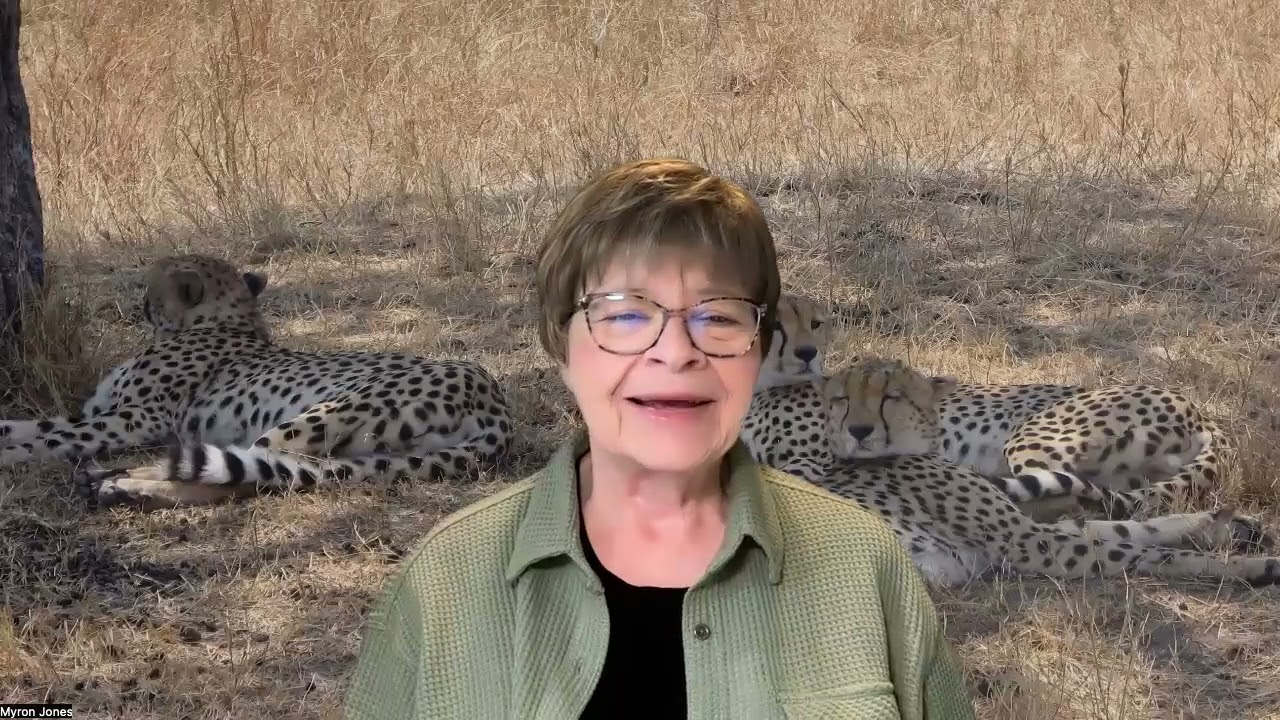 video1306635857