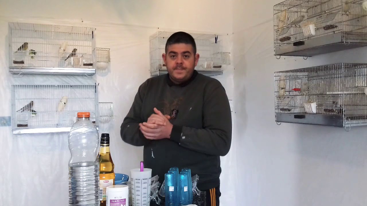 Comment soigner c'est canaris