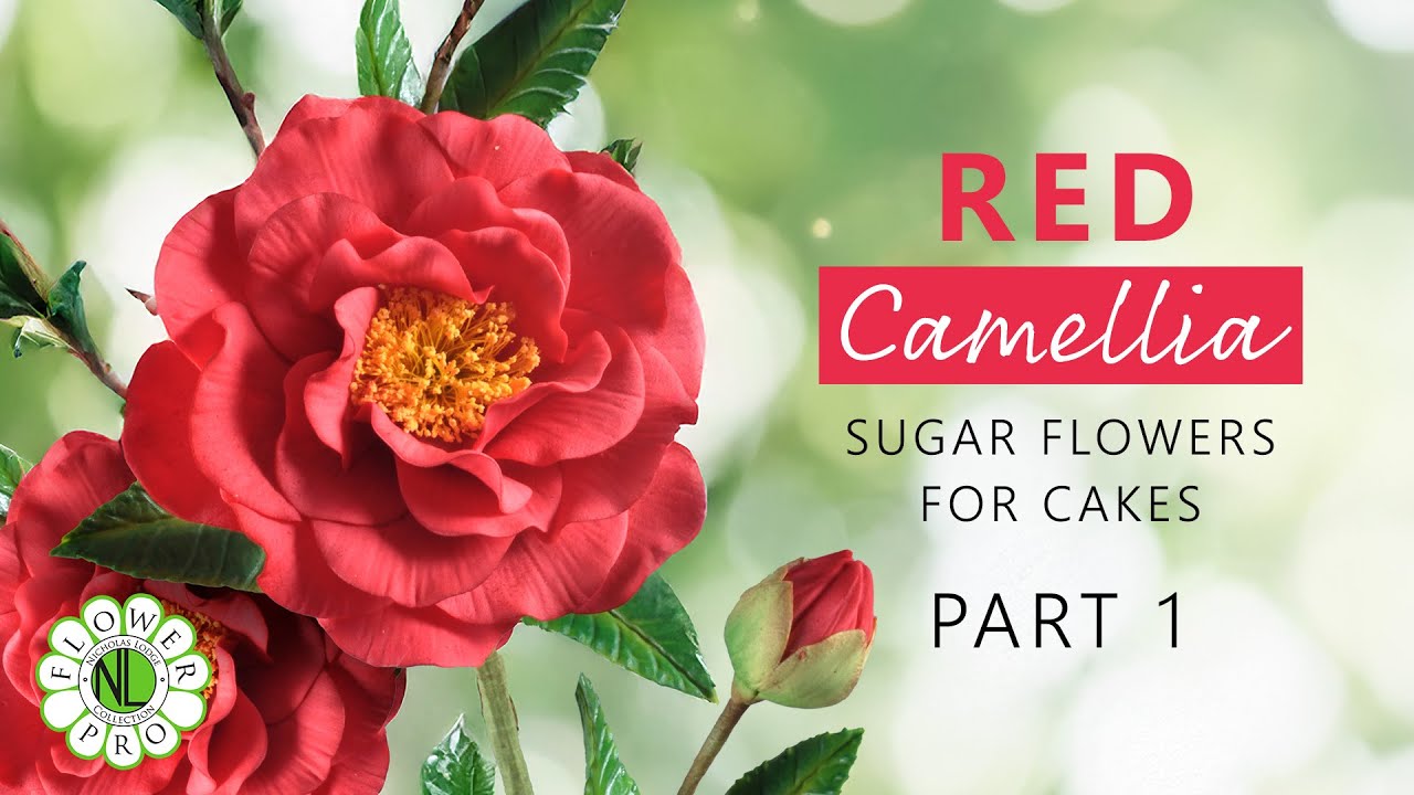 Make Camellia Flowers For Cakes & Clay Crafts |  Part 1