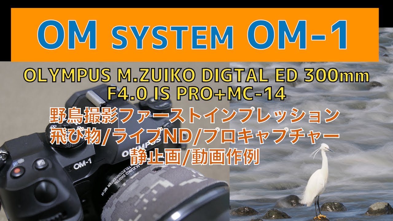 OM SYSTEM OM-1/OLYMPUS M.ZUIKO DIGTAL ED 300ｍｍ F4.0 IS PRO+MC-14/野鳥撮影ファーストインプレッション/No.150