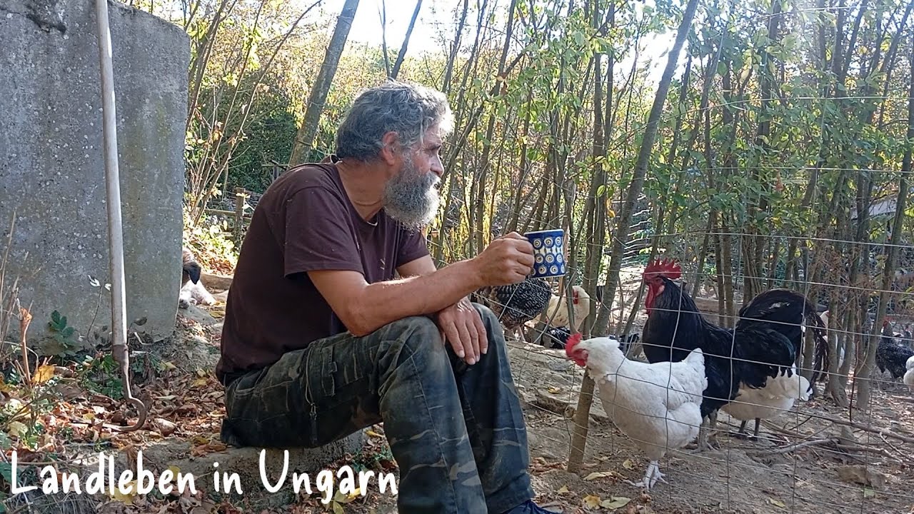 Ein Leben zwischen Gänse und Hühnerkacke Landleben in Ungarn