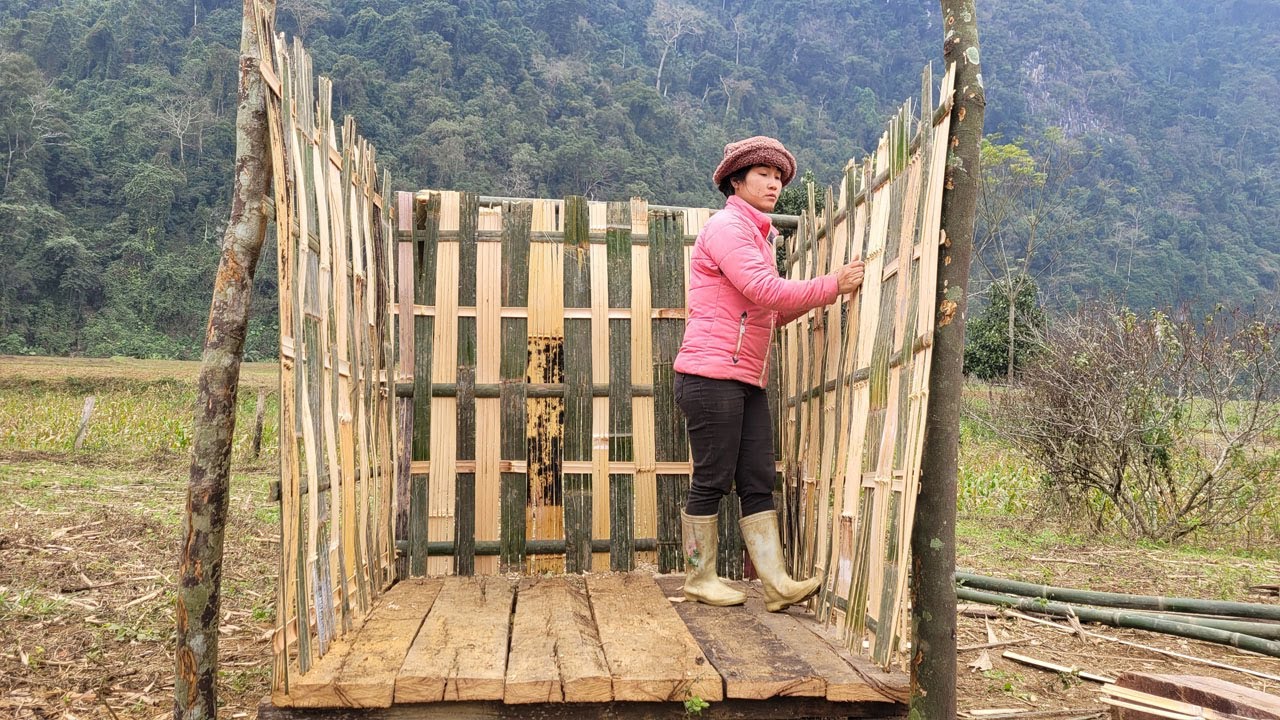 Single mother harvesting bamboo tree to build outdoor bathroom - Single mom build farm in the forest
