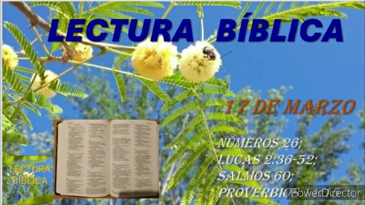 LECTURA BÍBLICA DIARIA - 17 DE MARZO
