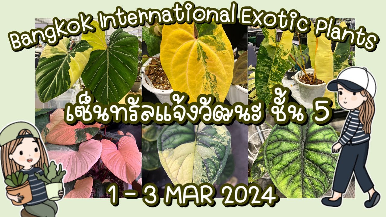 BANGKOK INTERNATIONAL EXOTIC PLANTS SHOW & SALE 