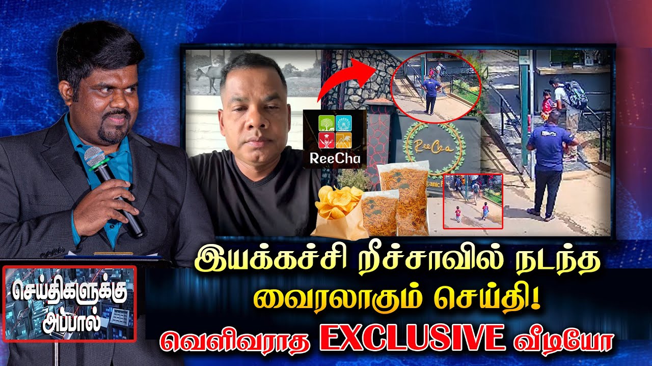 🛑 இயக்கச்சி றீச்சாவில் நடந்த வைரலாகும் செய்தி! வெளிவராத EXCLUSIVE வீடியோ | REECHA | VIRAL VIDEO