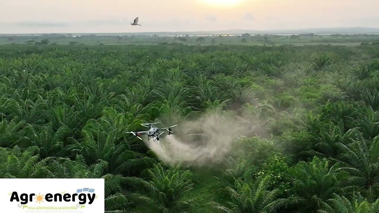 Fumigaci&oacute;n con drone agr&iacute;cola en cultivo de Palma de Aceite en Colombia
