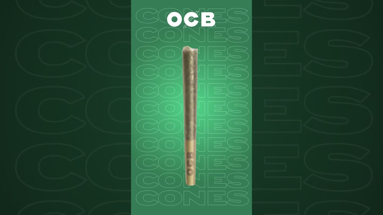 OCB Pre-Rolled Cones Mini Tower - No More Rolling Struggles