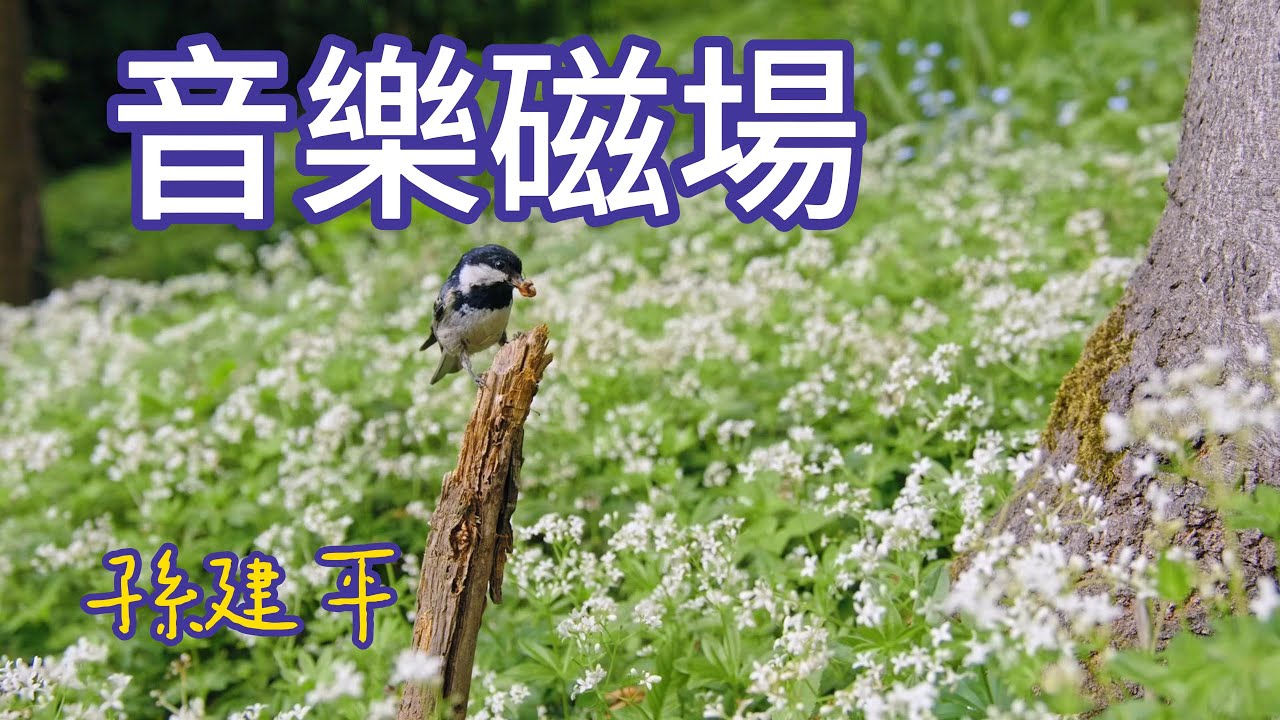 音樂磁場 孫建平