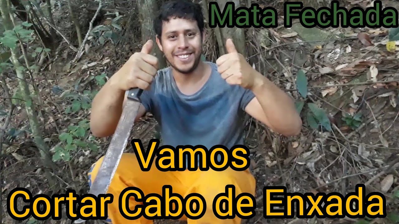 Indo na mata fechada procurar cabo de enxada - Vida na Roça