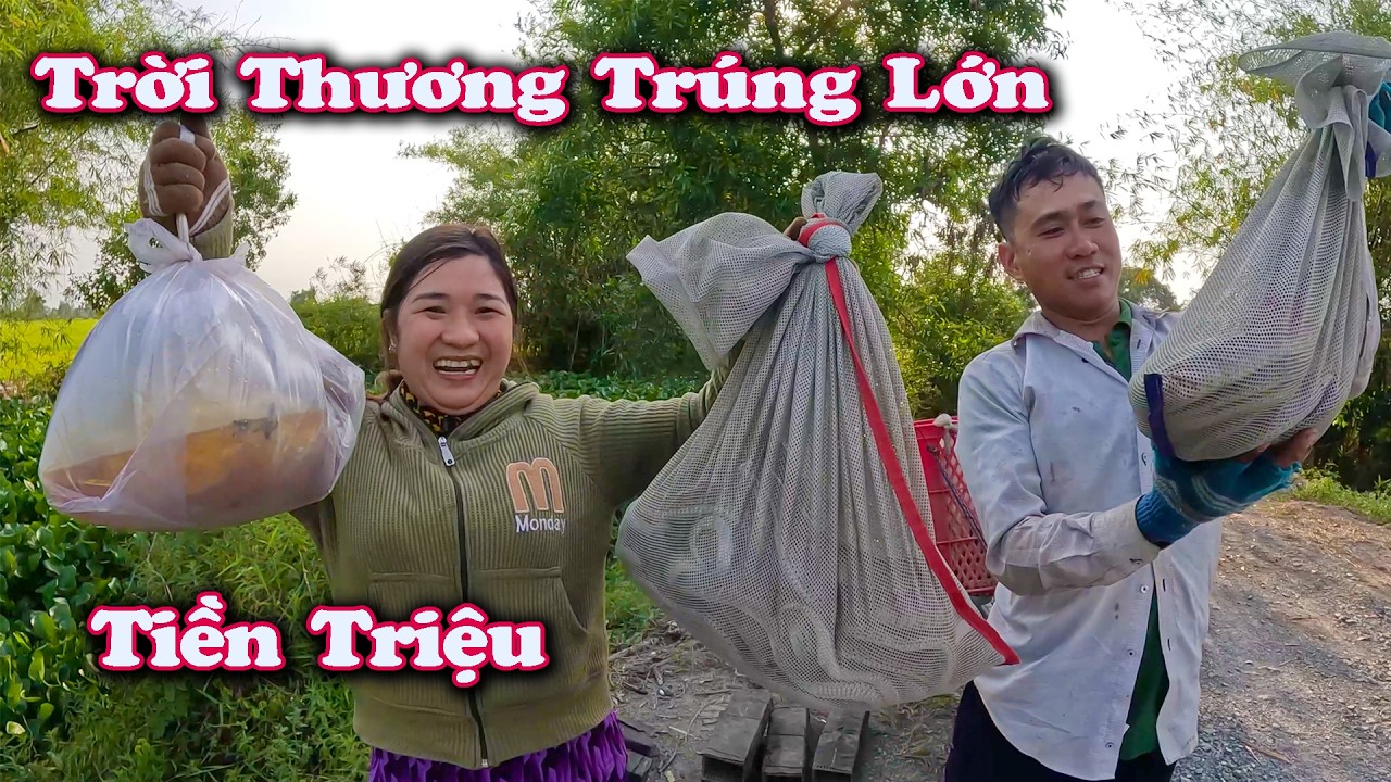 Trúng Nặng Tay Nhiều RẮN Lớn ? Mật Ong Rừng # CSBR  # 472