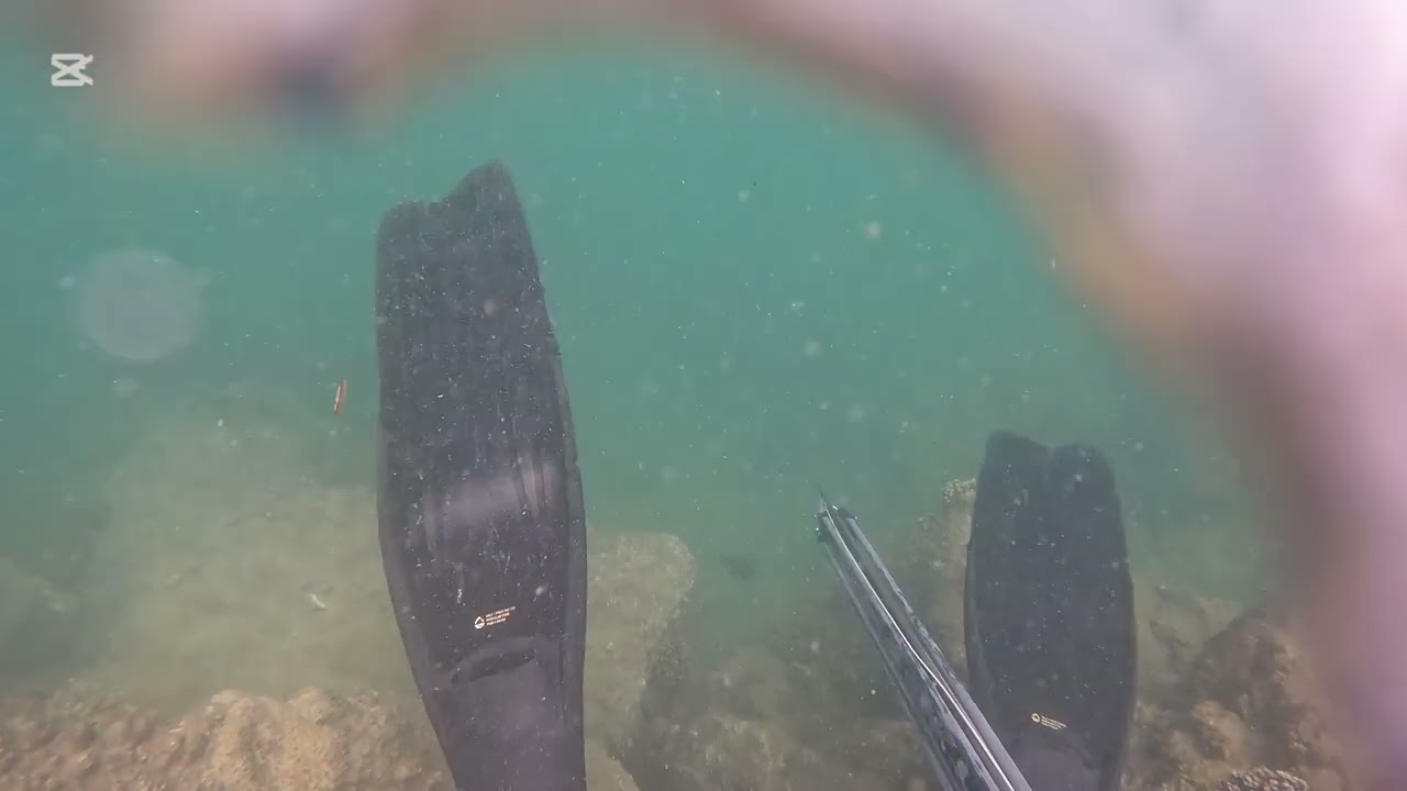 SPEARFISHING NORTH STRADBROKE ISLAND