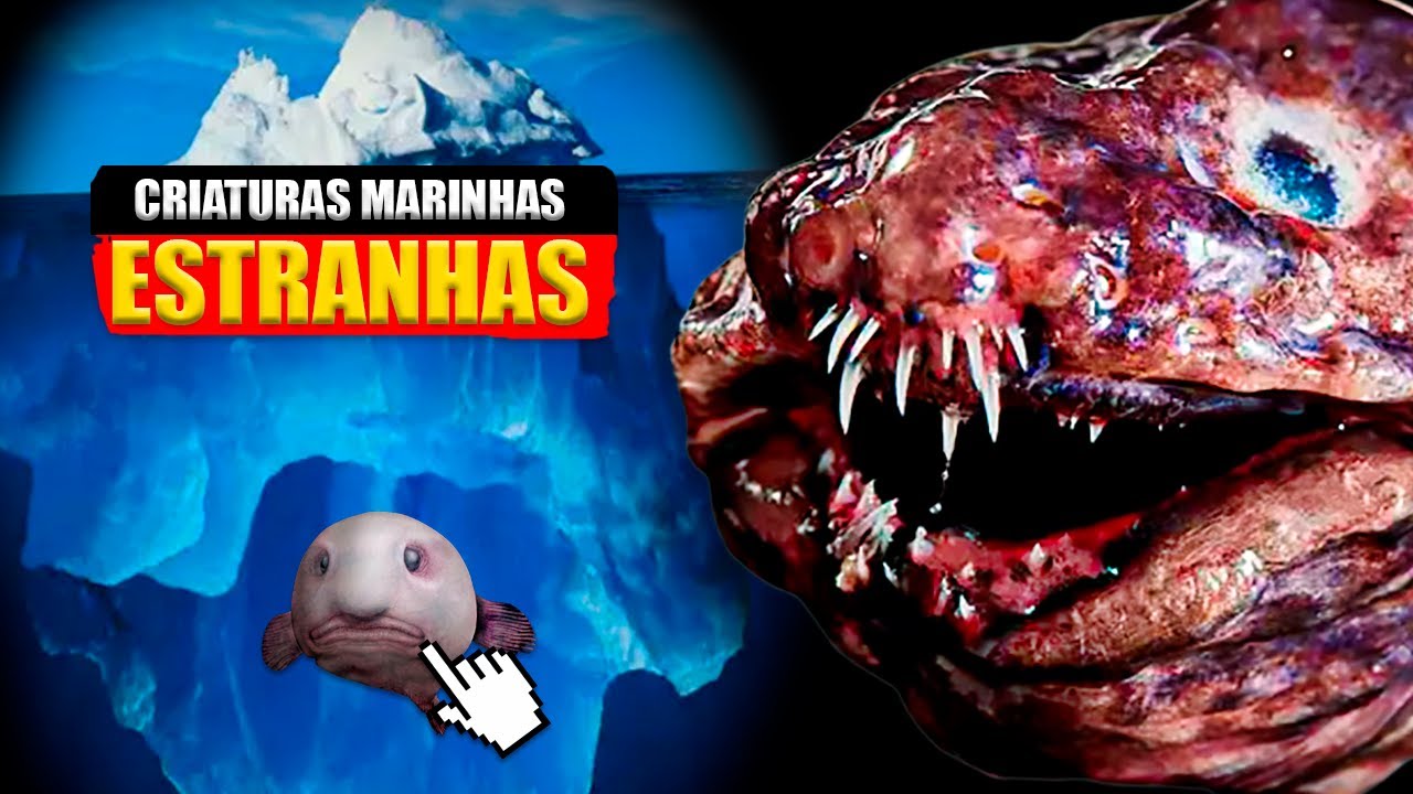 O Iceberg De Criaturas Marinhas Estranhas - Criaturas Misteriosas