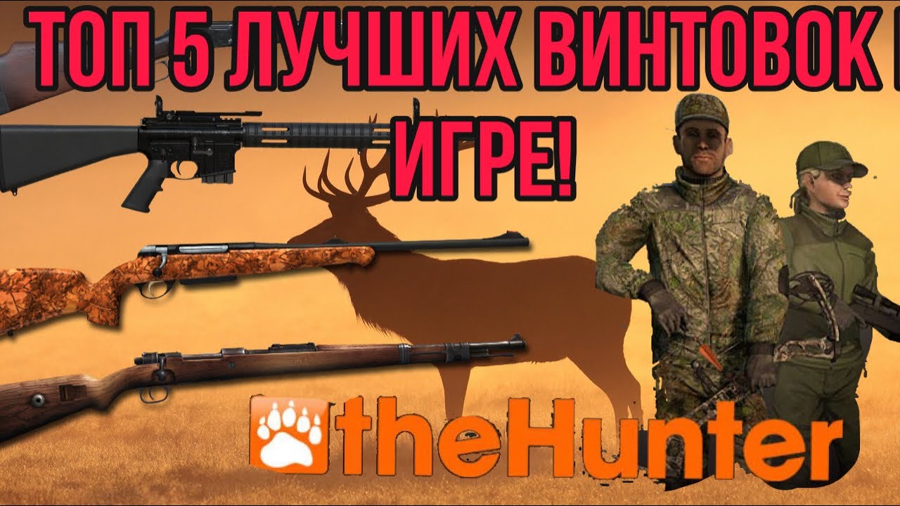 theHunter Classic Топ 5 лучших винтовок в игре!