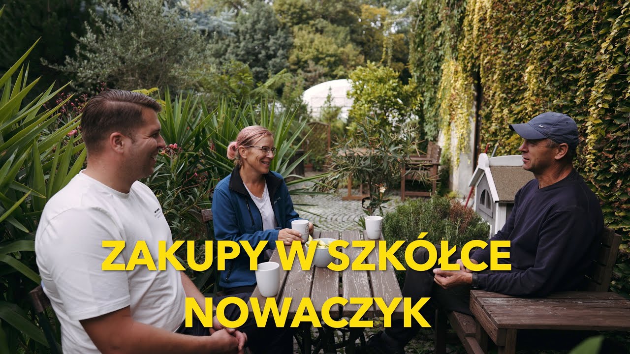 Jak wyglądają zakupy w Szk&oacute;łce Nowaczyk?