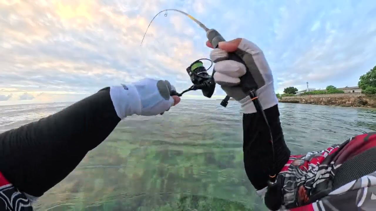 Fish for Dinner - Fishing Adventure #fishing #shorecasting #fyp