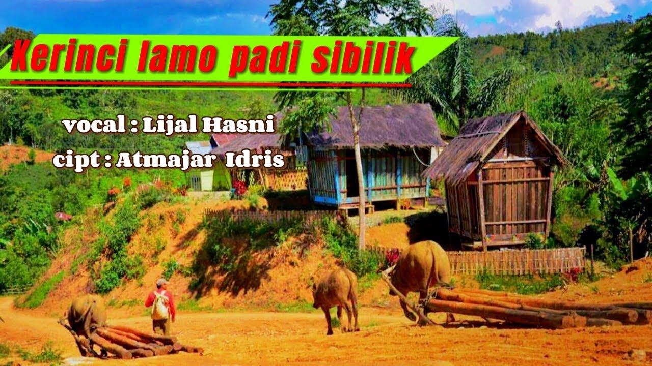 LAGU KERINCI LAMO  | PADI SIBILIK