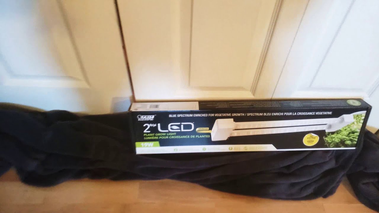 Grow Cheap Weed In Your Closet At Home