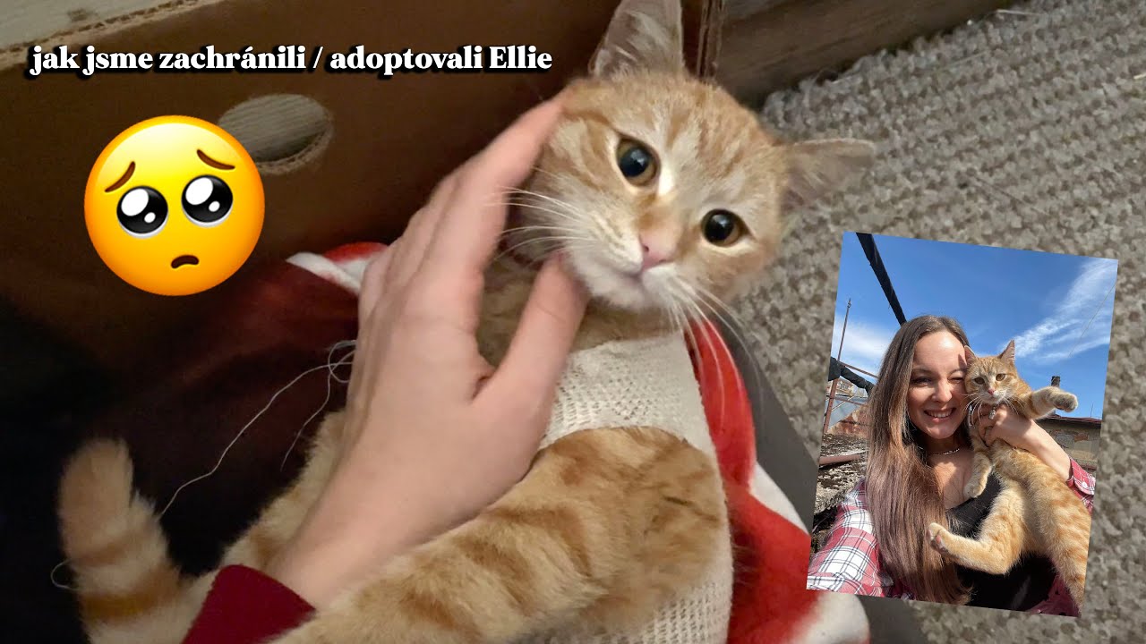 PŘIVÍTEJTE NOVÉHO ČLENA NAŠÍ RODINY! ❤️Tohle je Ellie