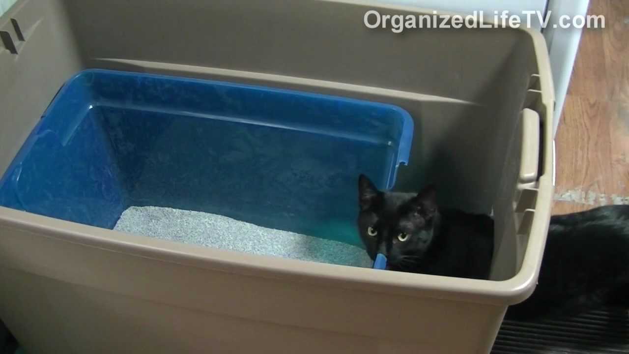 Custom Cat Litter Box Made Simple - DIY