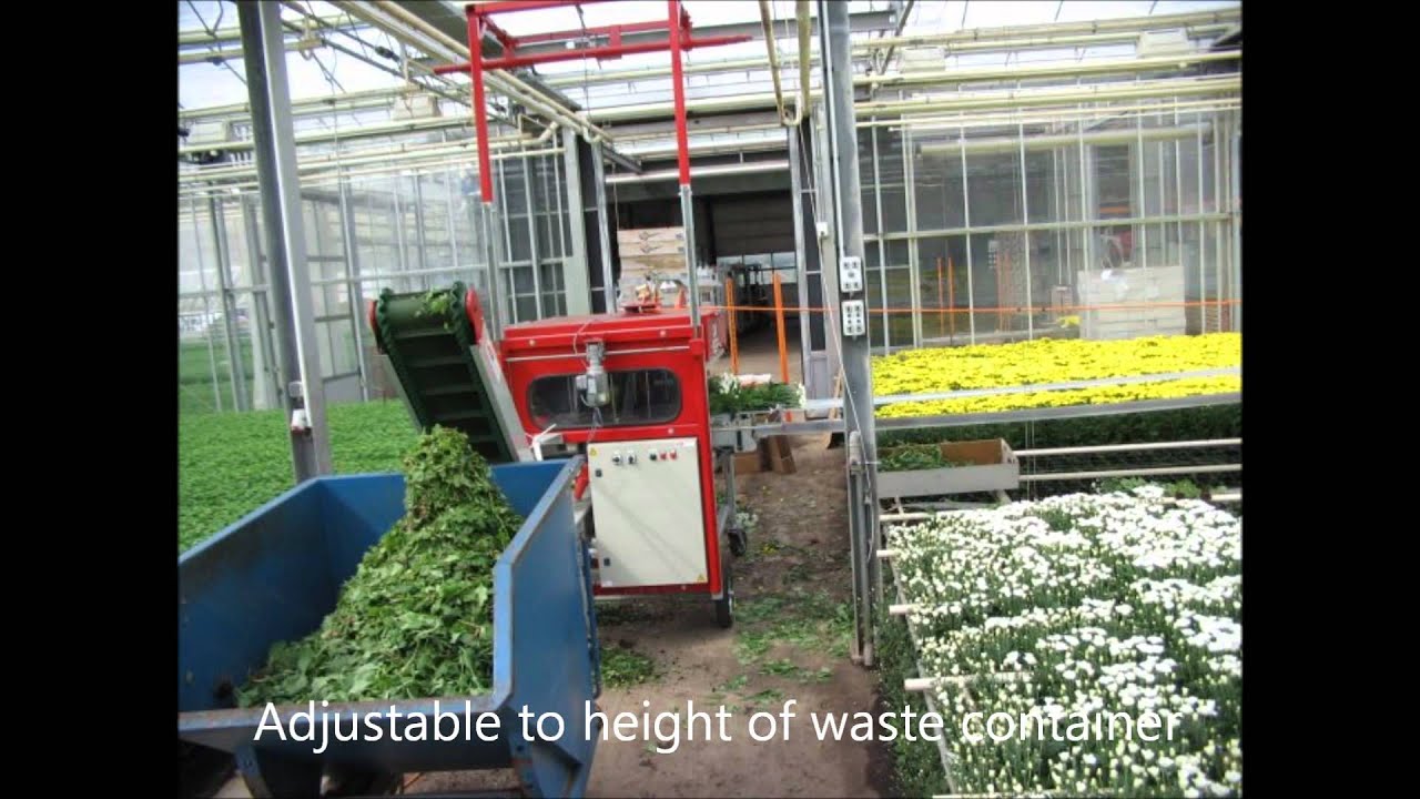 BTM T 124 Flower Harvesting Line