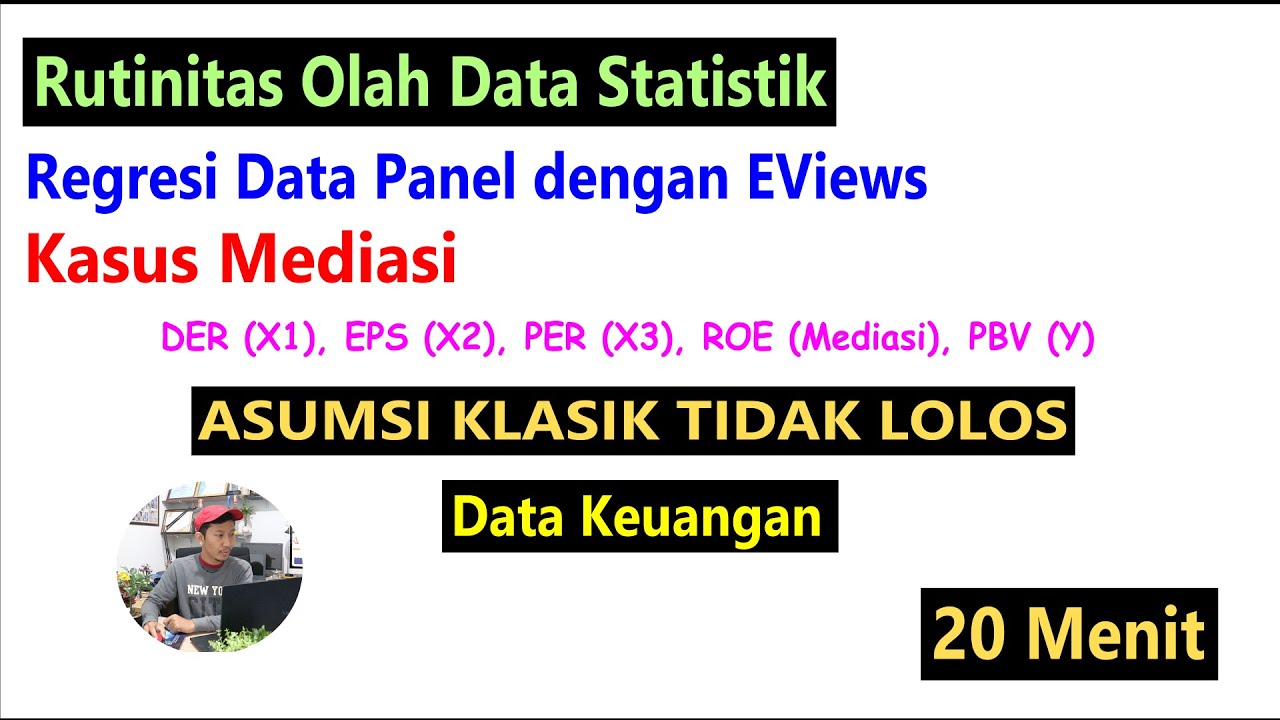 Regresi Data Panel dengan EViews, Kasus Mediasi
