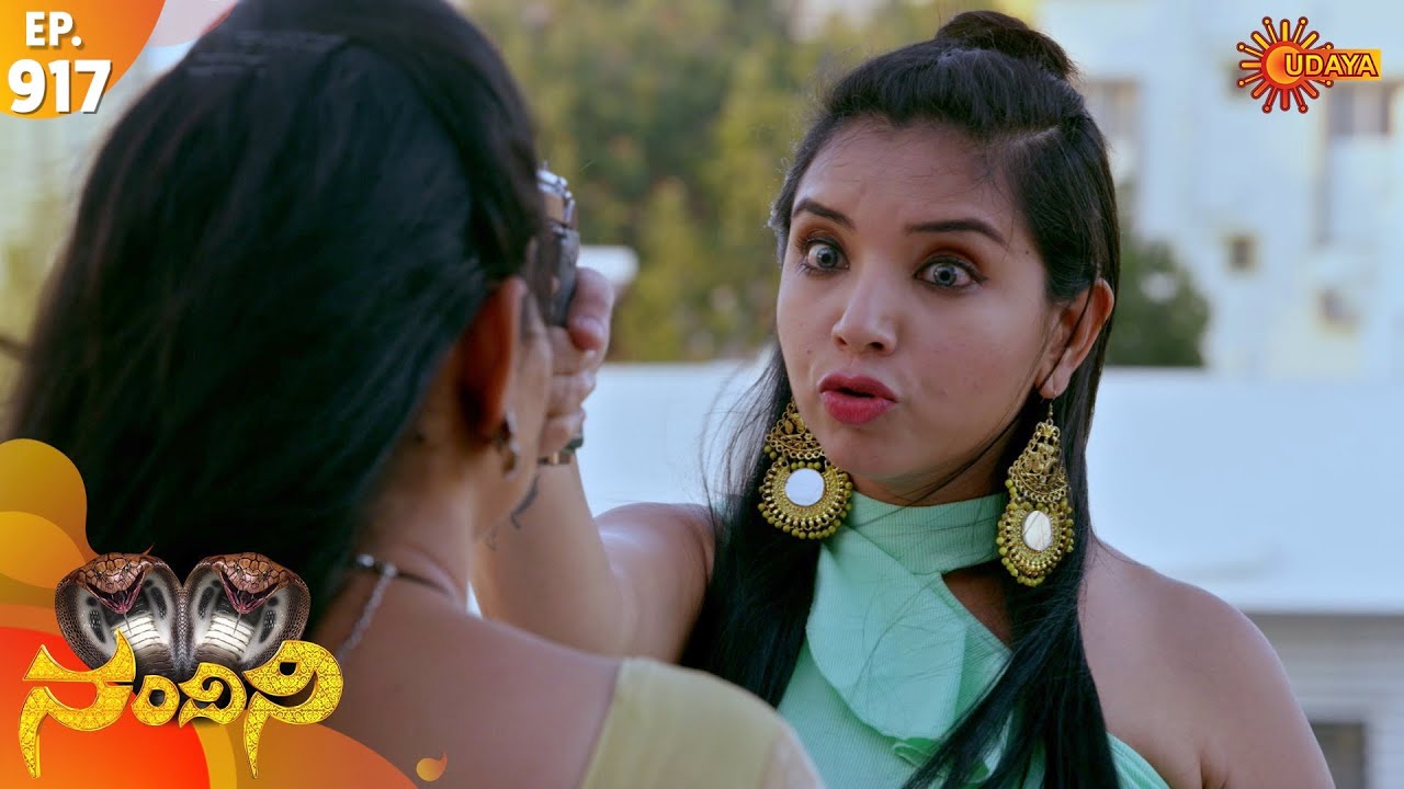 Nandini - Episode 917 | 2nd March 2020 | Udaya TV Serial | Kannada Serial