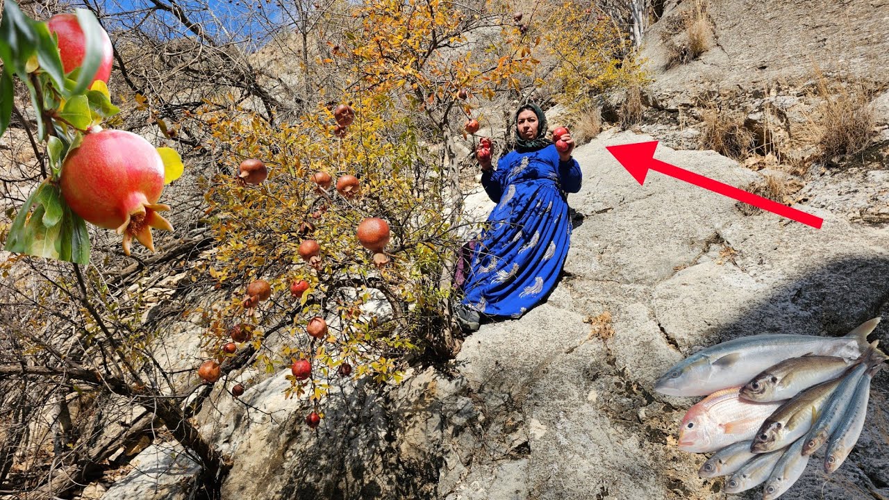 An exciting trip 🤩💗to the mountains⛰️: picking pomegranates and fishing🐟️ in the raging waters🌊