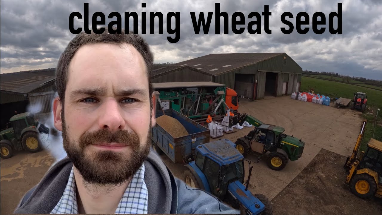 Cleaning home grown wheat seed for sowing