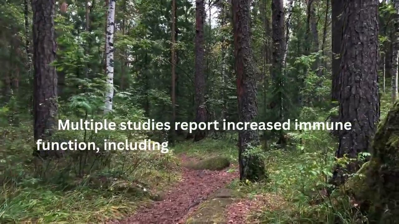 The science of Forest Bath