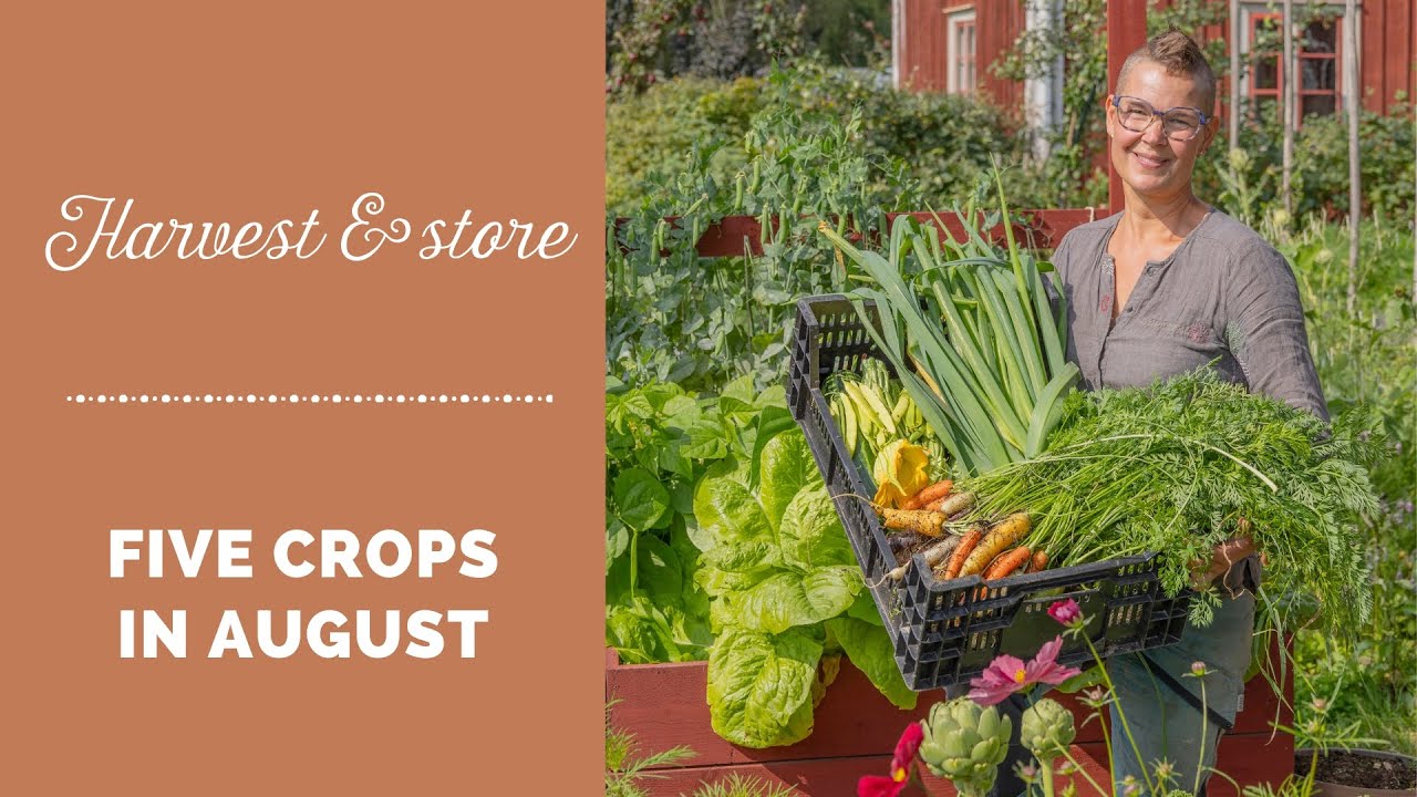 Harvest and store five crops