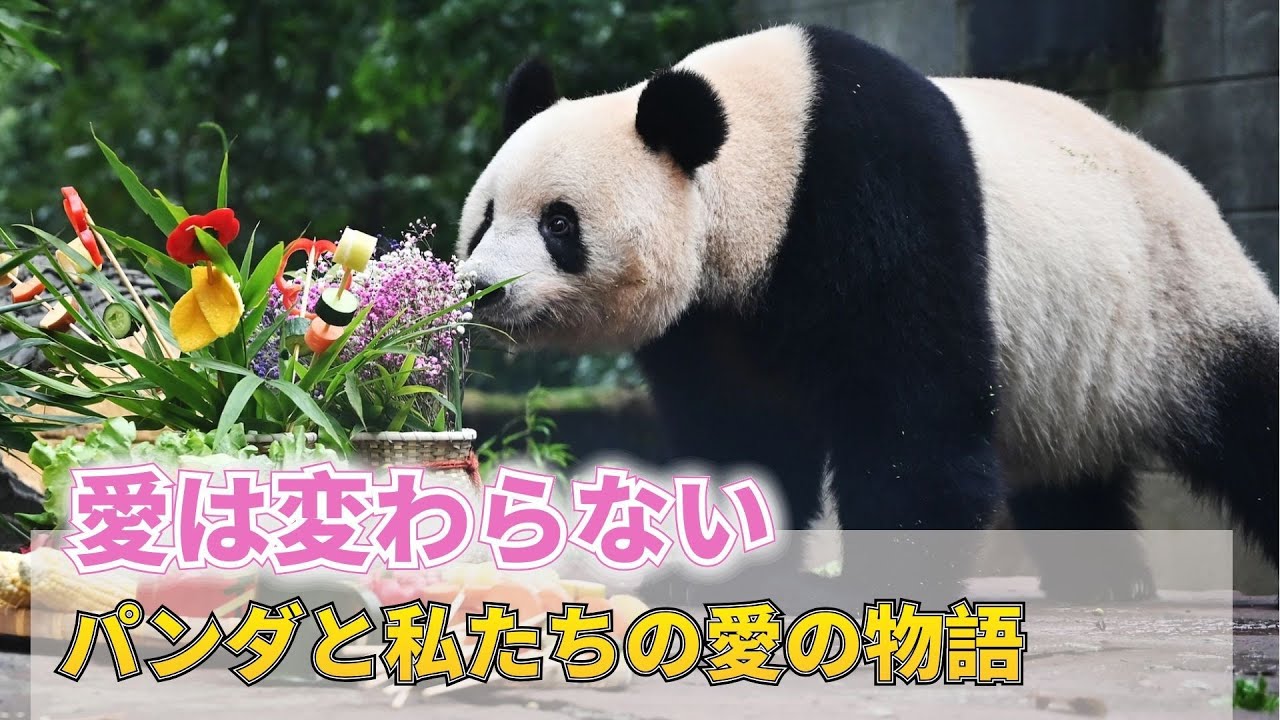 【愛は変わらない】