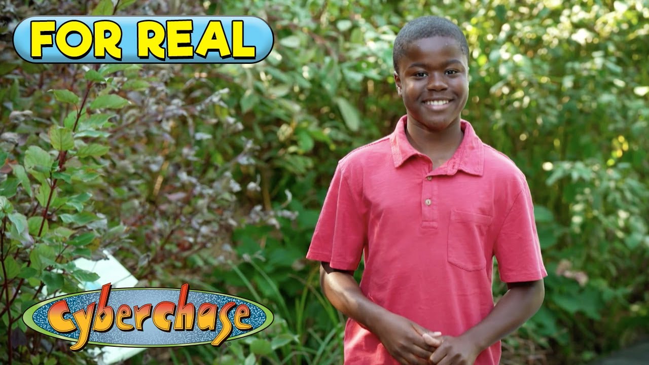 Visit the Brooklyn Botanic Garden with Booker and Kimmie 🌿🪴 | Cyberchase For Real