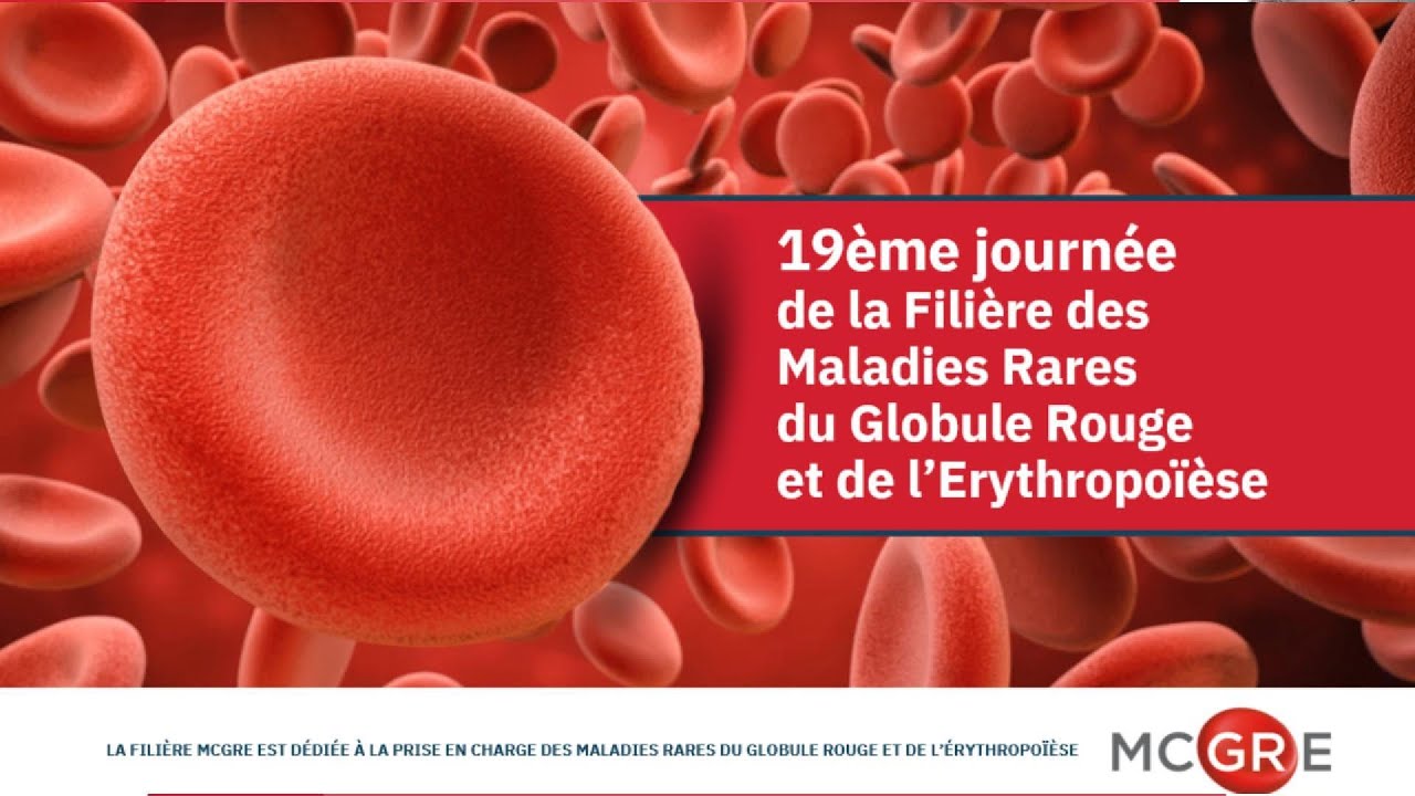 Introduction à la 19ème journée de la Filière MCGRE