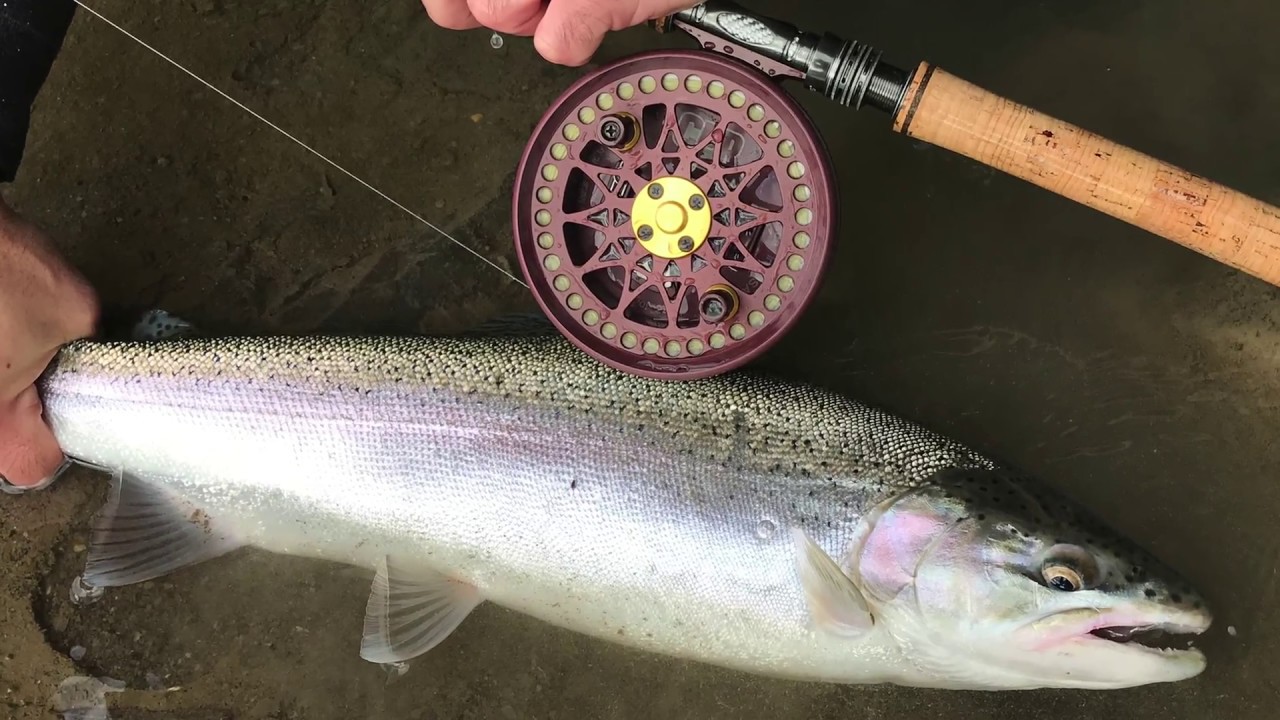 Centerpin Casting and Techniques Featuring Danny Colville Of Colville Outfitters