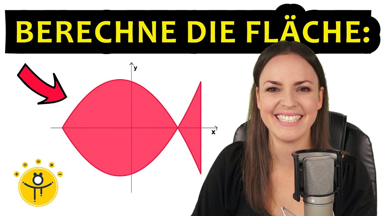 Wie groß ist die Fläche? – Integral Flächenberechnung