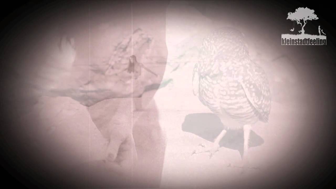 MITTAGSKIND - EULENFEDER alex q rmx [official]