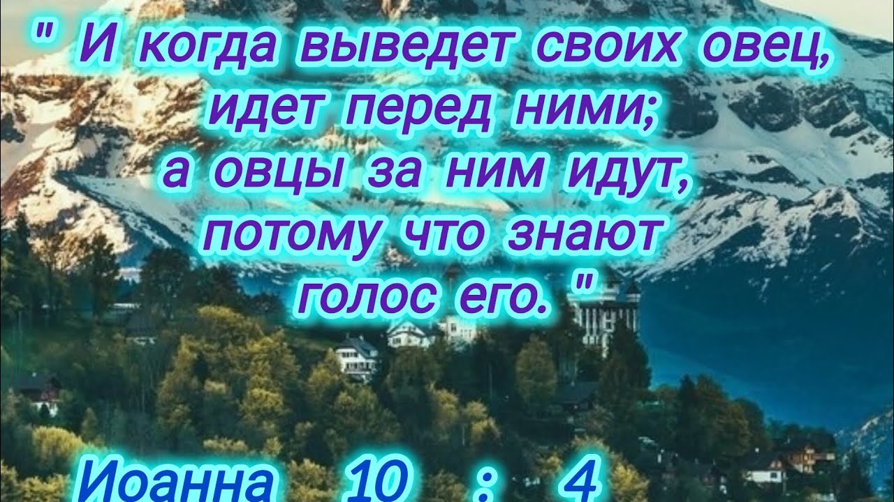 Путь  веры. 