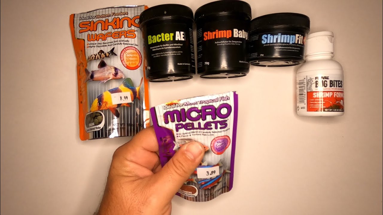 Hikari Micro Pellets Slow Sinking Pellets micro fish food Unboxing and Review - PSA Review 007