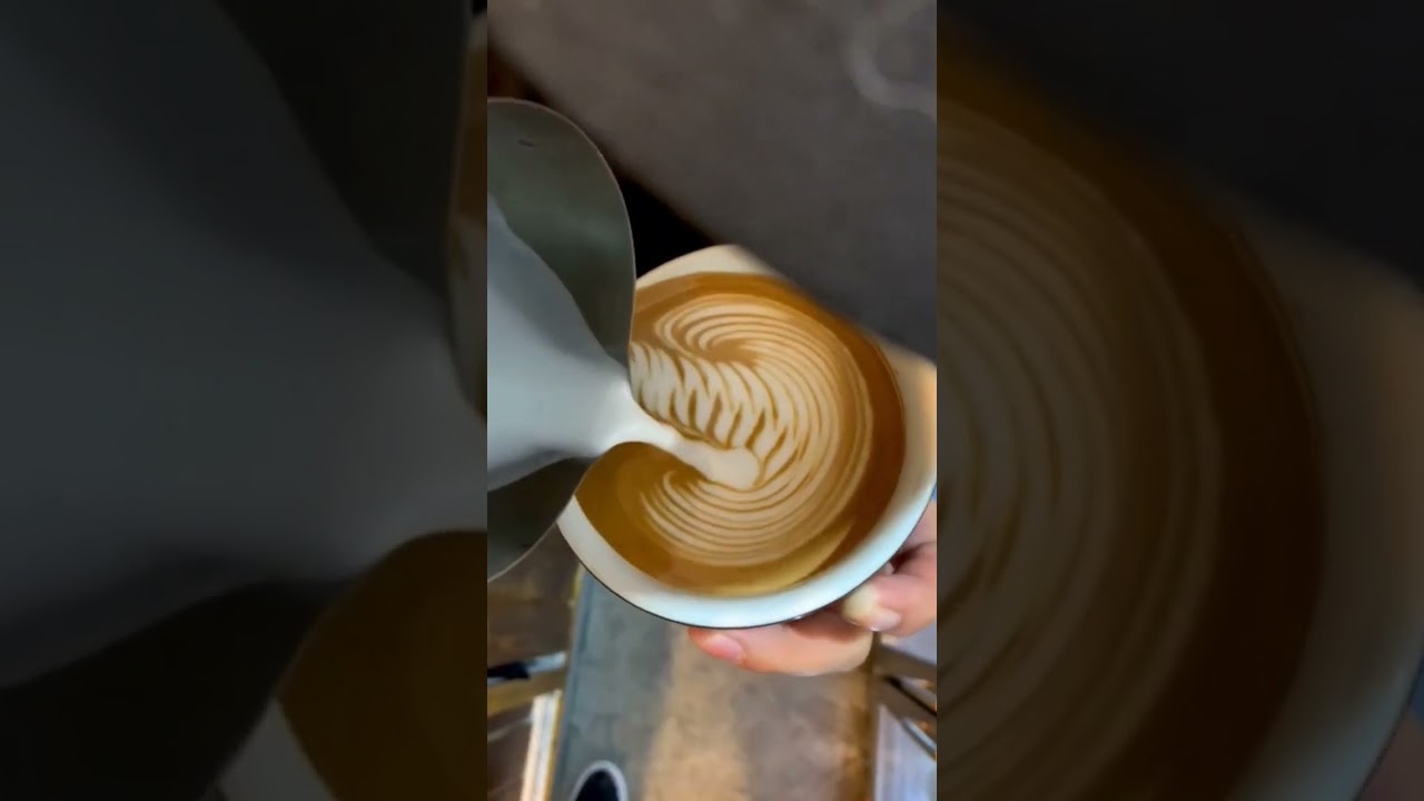 swan latte art 🦢 today's pour  #latteart #baristagram #shorts #barista #coffee #latte #viral