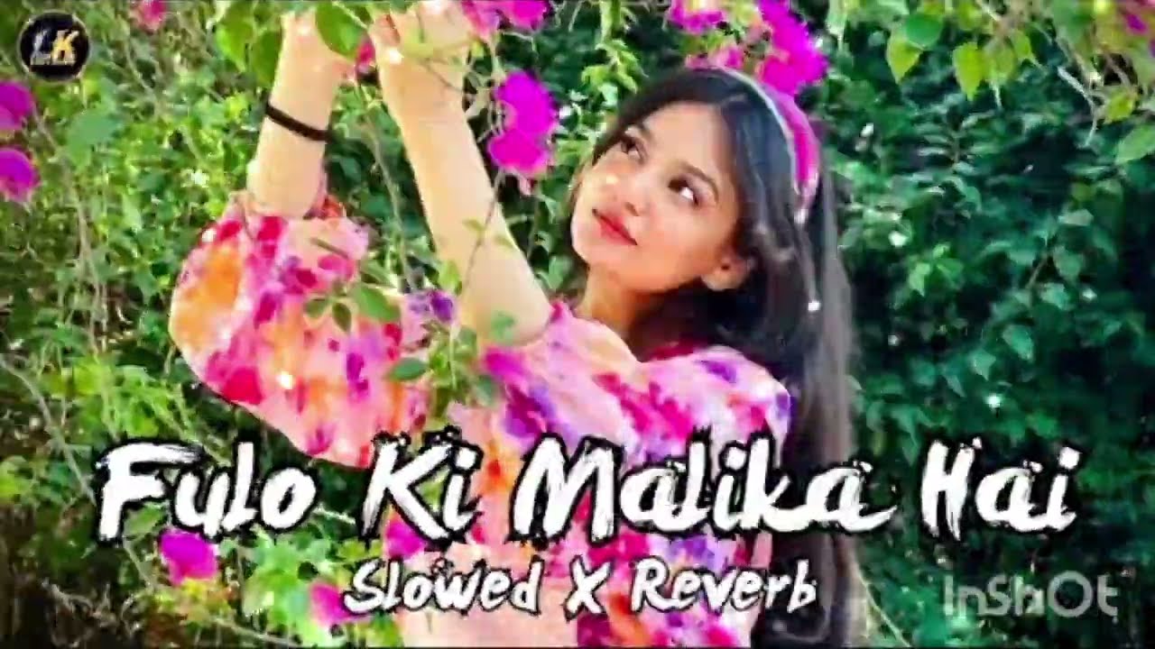 Fulo Ki Malika Hai🔥(slowed X reverb) | Lyrics Music | New Song | Aane Se Uske Aaye Bahar Lofi Mix